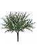 Silk Decor Plastic Rosemary Greenery Bush - 8