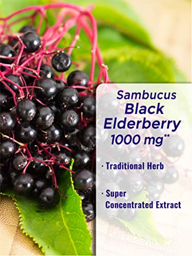 Black-Elderberry-Capsules-1000mg-100-Count-Super-Concentrated-Sambucus-Extract-Non-GMO-Gluten-Free-by-Natures-Truth