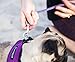 Cold Weather Dog Harness - Comfortable & Adjustable Harnesss for Dogs - Easy Walk Dog Harness (Red, Neck Size 12