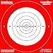 ArmaLaser LaserGlow Targets High Visibility Daytime Nighttime 12 inch Bullseye Pack of 3