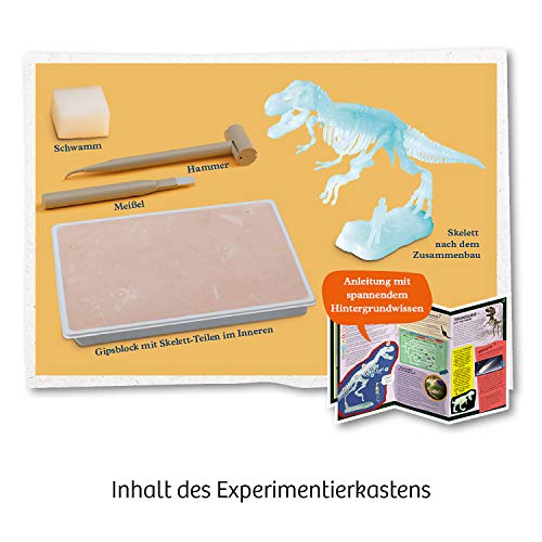 Nachtleuchtender T-Rex Ausgrabungs-Set – Bild 4