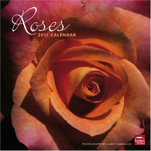 Roses 2011 Square 12X12 Wall Calendar