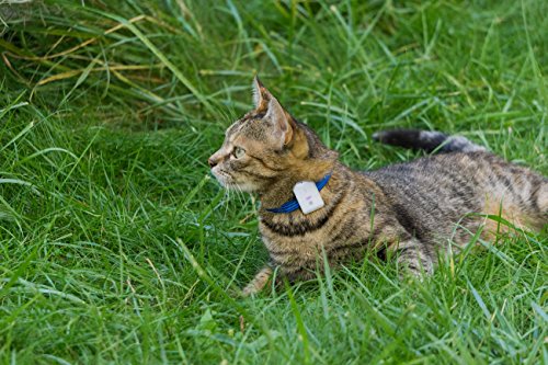 Girafus® Pro-track-tor Pet Safety Tracker RF Technology Dog and Cat Tracker Finder Locator Very Light &Small only 4.2gr-4 TAGS