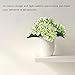 Green Artificial Hydrangea Silk Flowers 5 Heads SOLEDI Artificial Flower Arrangements Bunch Bridal Bouquet Wedding Bouquet for Home Garden Party Decoration Home Decor