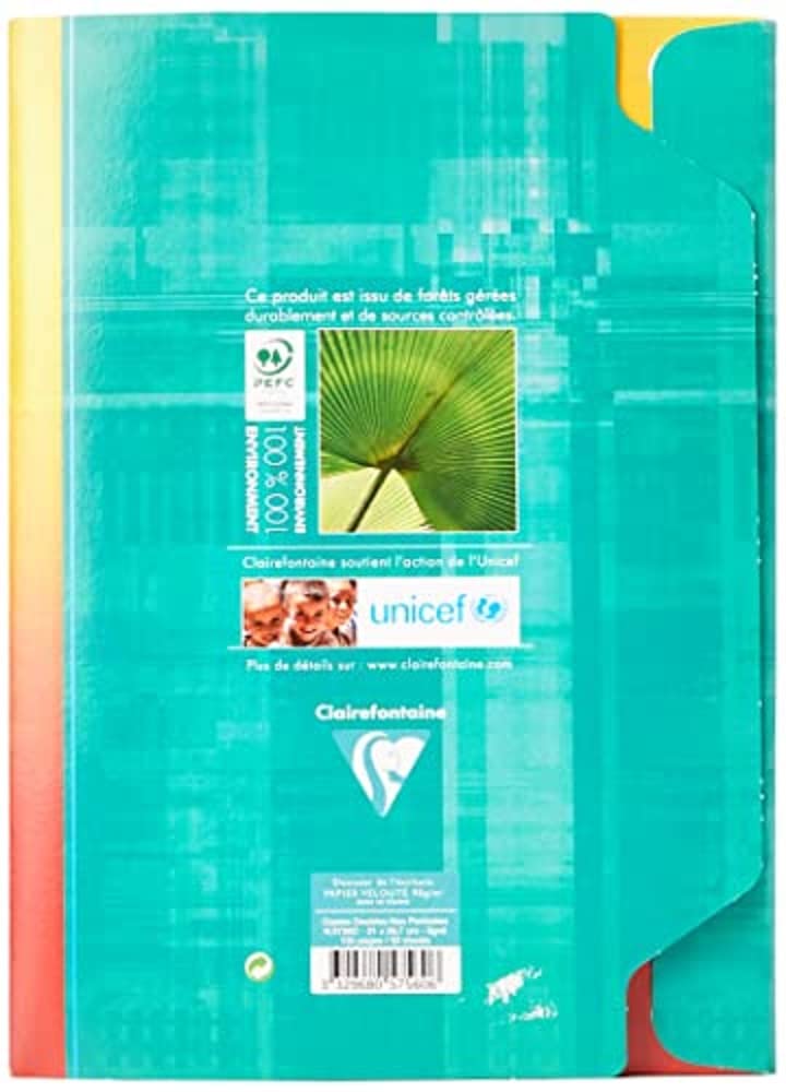 Clairefontaine 5756C - One Unpunched Double Sheet Case - Dimensions: A4 21 cm x 29,7 cm - 100 Lined Pages - White Velvet Vellum Paper 90 g - Reusable Case — image 1