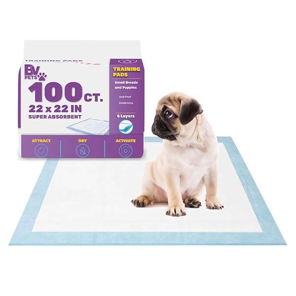 BV PUPPY PADS LEAK-PROOF 100 COUNT 22″X 22″ – ABSORBENT PEE PADS FOR DOGS WITH 6-LAYER DESIGN, RAPID DRY SHEET & BUILT-IN ATTRACTANT – DOG PAD WITH ODOR CONTROL, PERFECT FOR PUPPIES & SENIOR DOGS