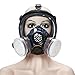 Holulo Organic Vapor Full Face Safety Respirator Mask Respiratory Protection Gas Masks Paint  Chemical Formaldehyde Anti Virus Full w/Activated Carbon Respirator