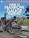 Guide to Narrow Gauge Modeling (Layout Design and Planning) by 