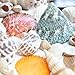 Fantastic Set of 90 Assorted Natural Sea Shells Beach Ocean