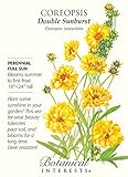 Double Sunburst Coreopsis Seed - 800 mg