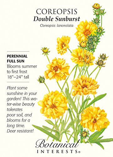 Double Sunburst Coreopsis Seed - 800 mg Double Sunburst Coreopsis Seed - 800 mg