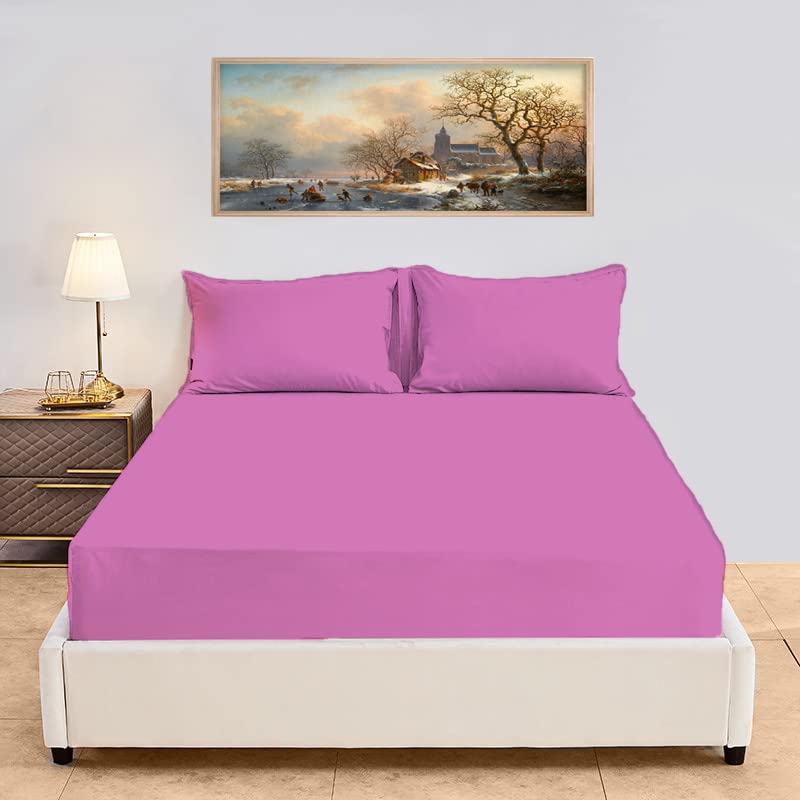 Dazzle Collection ®️100% Egyptian Cotton Sheet 200 Thread Count Bed Fitted Sheet Hotel Quality Bedding Set Soft & Crisp Cotton Caravan Campervan (King (Fitted Sheet), Purple)