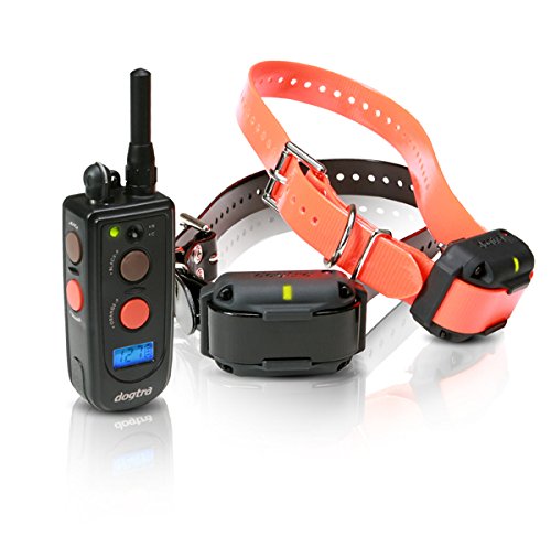 Dogtra 2 dog collar Clearance