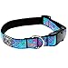 RC Pet Products 1-Inch Adjustable Dog Clip Collar, 12 by 20-Inch, Medium, Tropical Paisleythumb 4