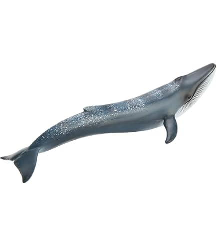 Schleich Humpback Whale, Figures - Amazon Canada
