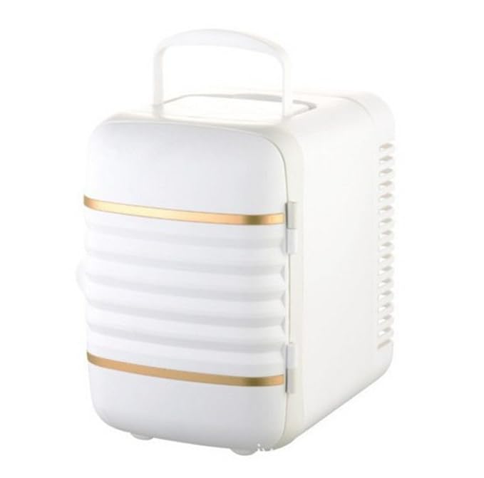 Compra SL&BX Nevera portátil Mini, Coche Mini Nevera Coche Doble ...