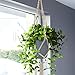 Sorbus Macrame Plant Hanger [4 Pack] Indoor Outdoor Hanging Plant Pots Cotton Rope, Elegant for Home, Patio, Garden