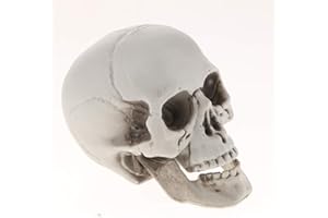 FRECI Plastic Human Head Skeleton Skull Figurines Sculpture for Halloween Home Decoration Craft Statues Collection Decor - #2
