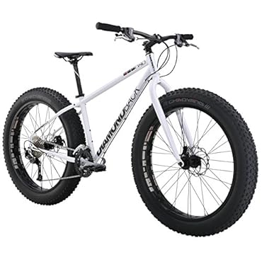 el oso uno fat bike