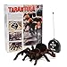 MECO Spider Scary Toy Remote Control 8'' 4CH Realistic RC Prank Holiday Halloween Gift Model