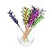 CiboWares 4 Inch Foil Mega Frills Party Picks, Assorted Colors, Package of 100