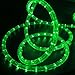 WYZworks 288LEDs, 25ft LED Green Outside Rope Light, Connectable Outdoor ETL Certified Permanent Waterproof Accent Exterior Lighting, Flexible Clear PVC Shell, Holiday, Backyard Patio Palm Tree