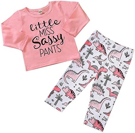 baby girl clothes 2t