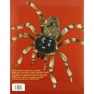 Tamano Real / Actual Size (Conocer Y Aprender / Know and Learn) (Spanish Edition)