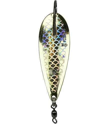 Amazon.com : Aqua Dream WS01 1/4-Ounce Weedless Spoon, Gold Finish : Fishing  Spoons : Sports & Outdoors