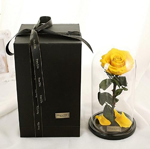 "Beauty and the Beast" Enchanted Rose, Glass Cover Preserved Fresh Rose Flower Immortal Rose - For Valentine's Day, Christmas, Wedding Gifts (Yellow Rose-Beloved)