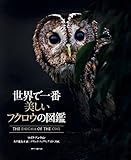 世界で一番美しいフクロウの図鑑