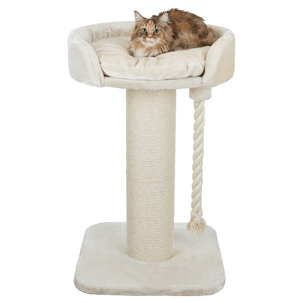 TRIXIE cat tree XXL Klara 39.4 inches in cream – robust cat scratching post for large cats with a cosy, elevated lounging area, comfortable & stable – 44677