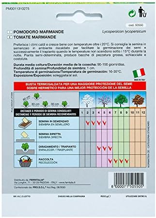 Semillas Tomate Raf (1.5 Gramos): Amazon.es: Jardín