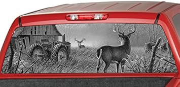 Truck rear window tint