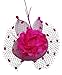 Womens Fascinators Headband Veil Flower Hair Clip Cocktail Tea Party Headwear