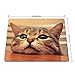 Curious Cute Cat Look at You with Eager Eyes on Table Customized Mouse Pad