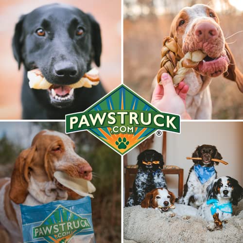 Pawstruck Bizarre Rawhide Chews for All Breeds, 1 lb Variety Pack w/ Rawhide Chips, Rawhide