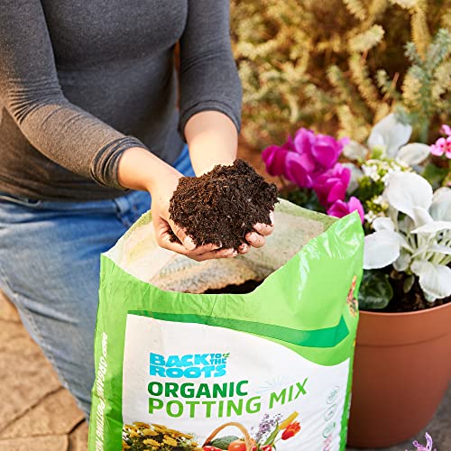 Back to the Roots 8-Pack: All-Purpose Potting Mix 6 Quarts 47006