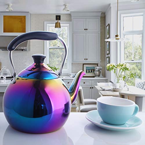 Whistling Tea Kettle for Stovetop Induction Stainless Steel Whistle