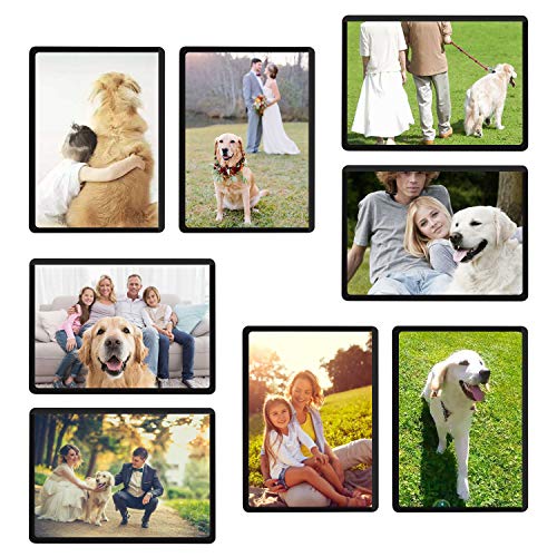 Magicfly Magnetic Photo Frame 2 5 X 3 5 Inches Magnetic Photo Frames For Refrigerator Fridge Photo Frames For Fridge Office Cabinet Locker Pack Of 15 Black Pricepulse