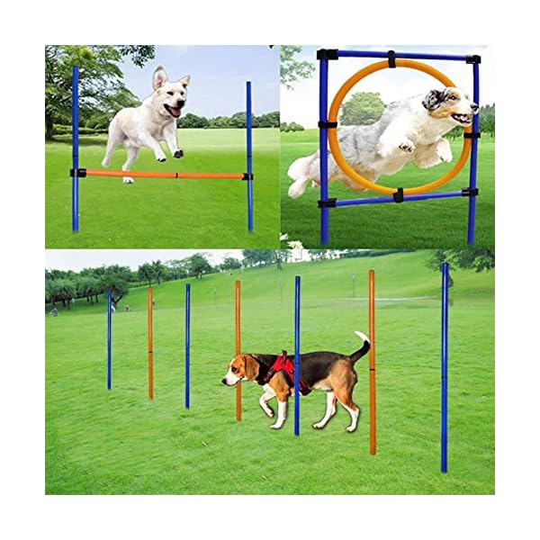 MelkTemn Dog Agility Set, Profi Hundetrainigsset Agility 3 Übungen Hund