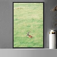 Framed Canvas Wall Art Deer Animals Deer Multicolor Photography Rustic Urban - 16x24 inches