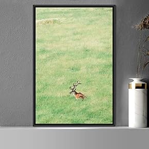 signwin Framed Canvas Wall Art Deer Animals Deer...