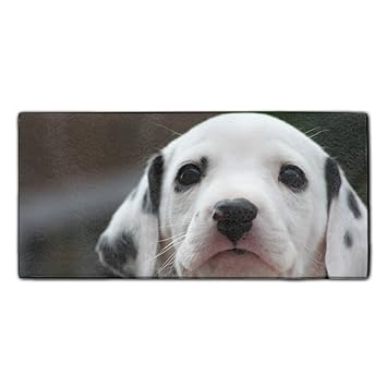 Dalmatian Puppy With Heart Nose Is Too Cute For Words The