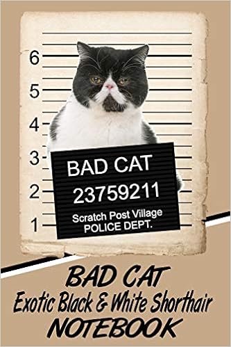 Amazon Com Bad Cat Exotic Black White Shorthair Notebook