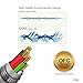 iDARS Lightning Headphone Earbud Earphone Apple MFi Certified in-Ear Wired Headsets with Mic and Remote for iPhone X/XS/XS Max/XR/ 8/ 8Plus/ 7/ 7Plus, iPad Pro/Air/Mini, iPod (Red)