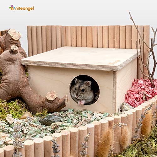 Niteangel Birch ChamberMaze Hamster Hideout Small Pets Woodland House Habitats Decor for