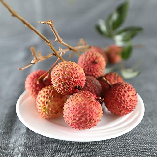 Taloyer 10pcs Fresh Lychee Litchi Seeds Sweet Delicious Bonsai Fruit Seeds