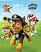 Edge Home Products Paw Patrol Dogs Field 12
