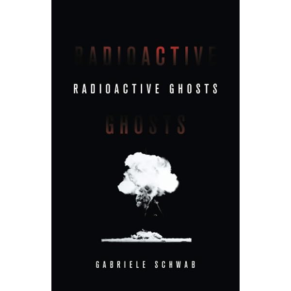 Amazon.com: Haunting Legacies: Violent Histories and